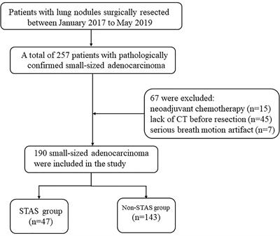 Predictors of CT Morphologic Features to Identify Spread Through Air Spaces Preoperatively in Small-Sized Lung Adenocarcinoma